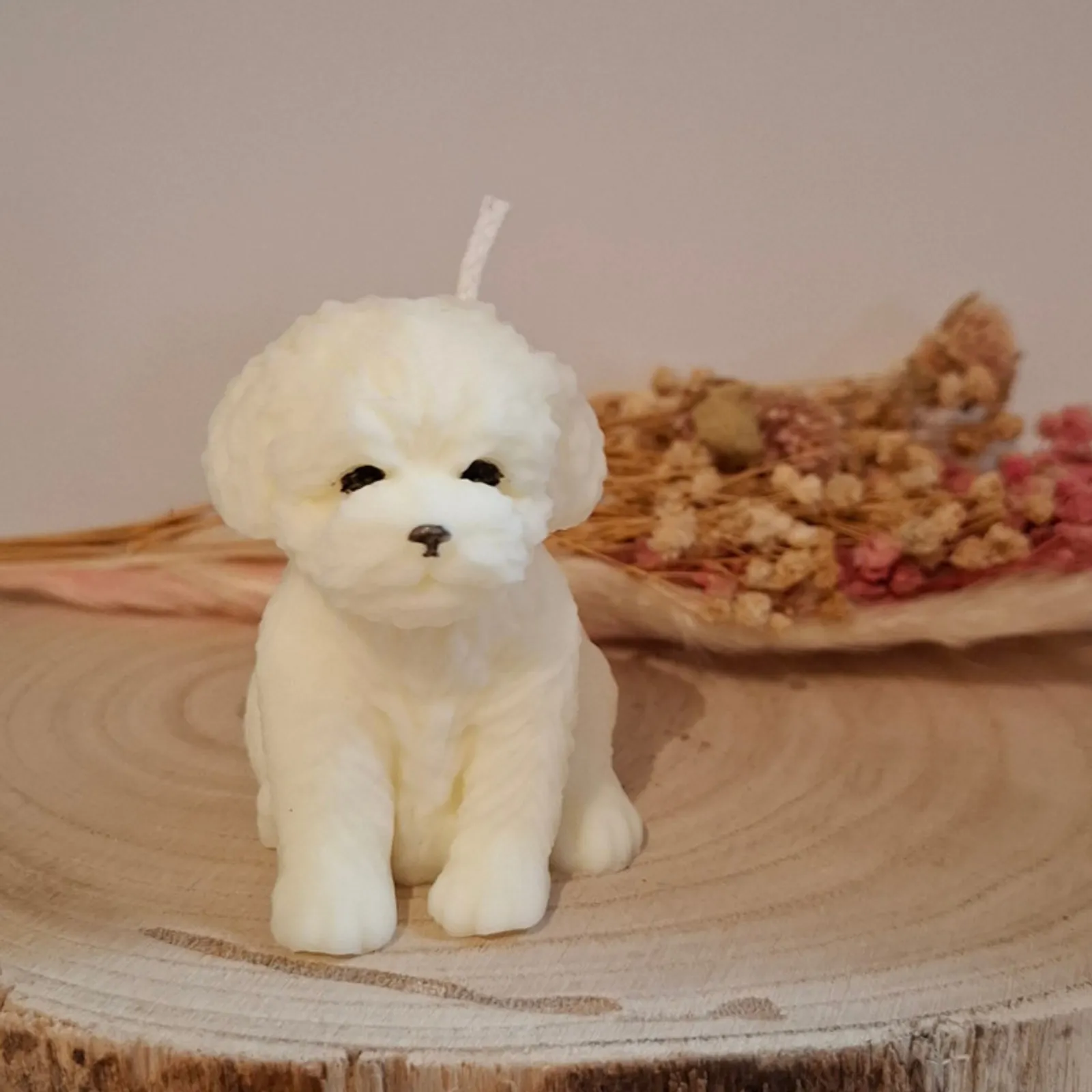 Teddy kutyus 1