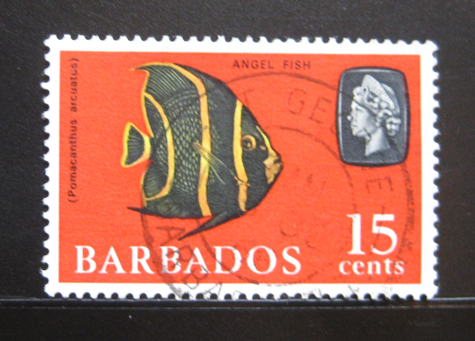 Barbados 1966 Ryba Mi# 243 Y 0994B