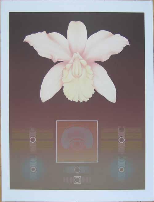 David Haiden - Orchid matrix I.