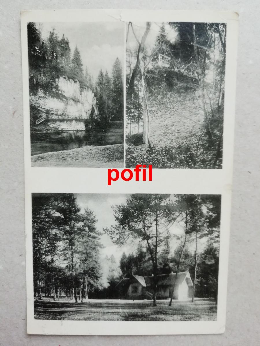 Zříceniny hradu Příběnic u Tábora /292387/