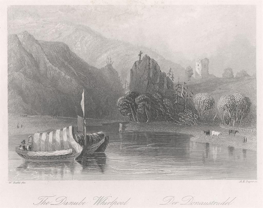 Donaustrudel, Payne, oceloryt 1860