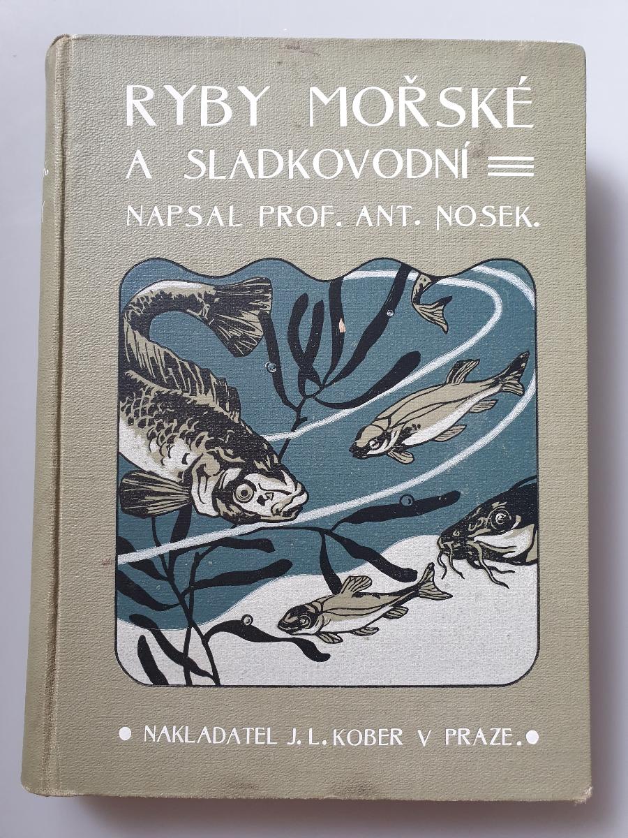 1909Ryby mořské a sladkovodníprof. Nosek