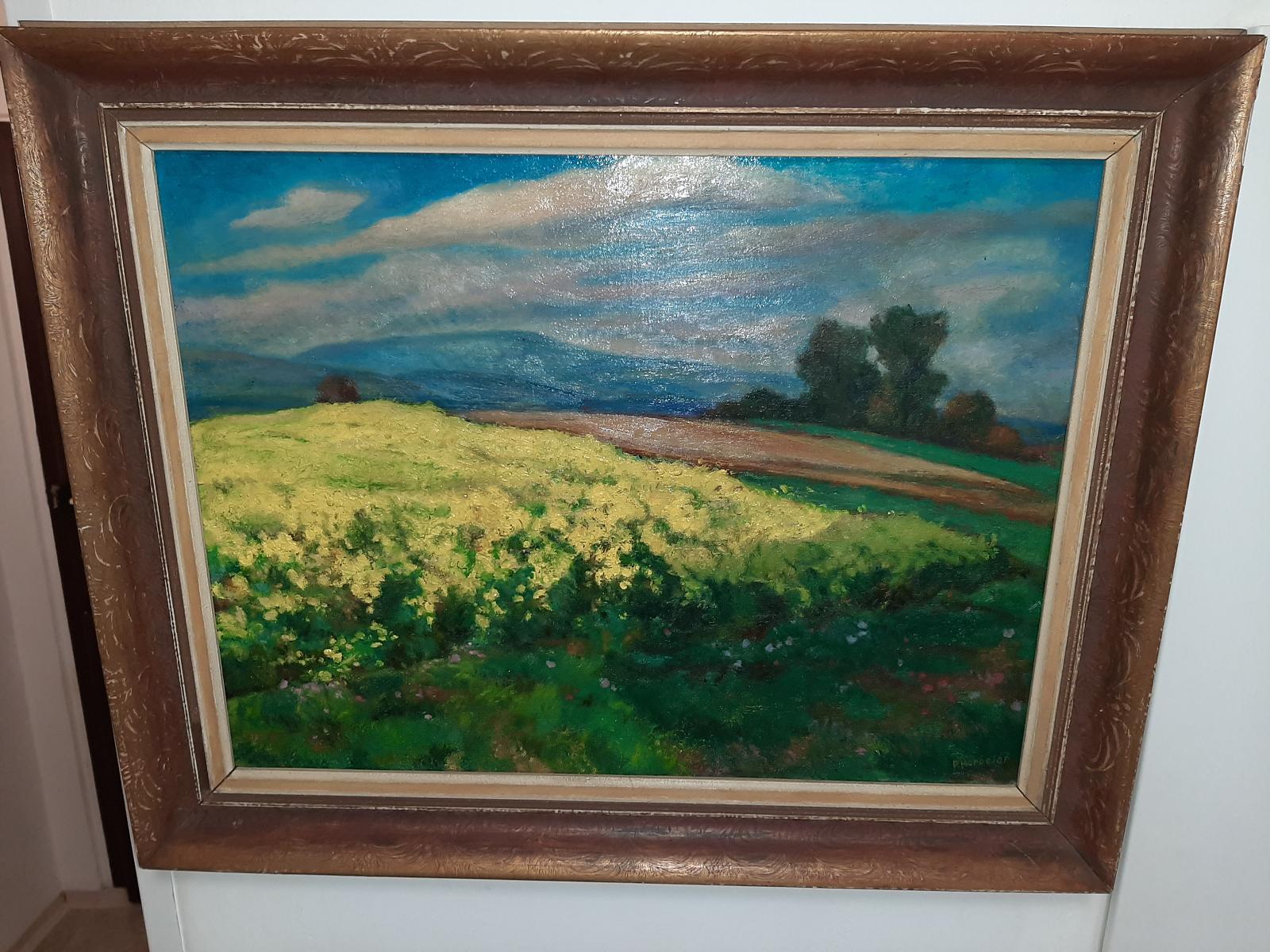 překrásný obraz kvetoucí řepka