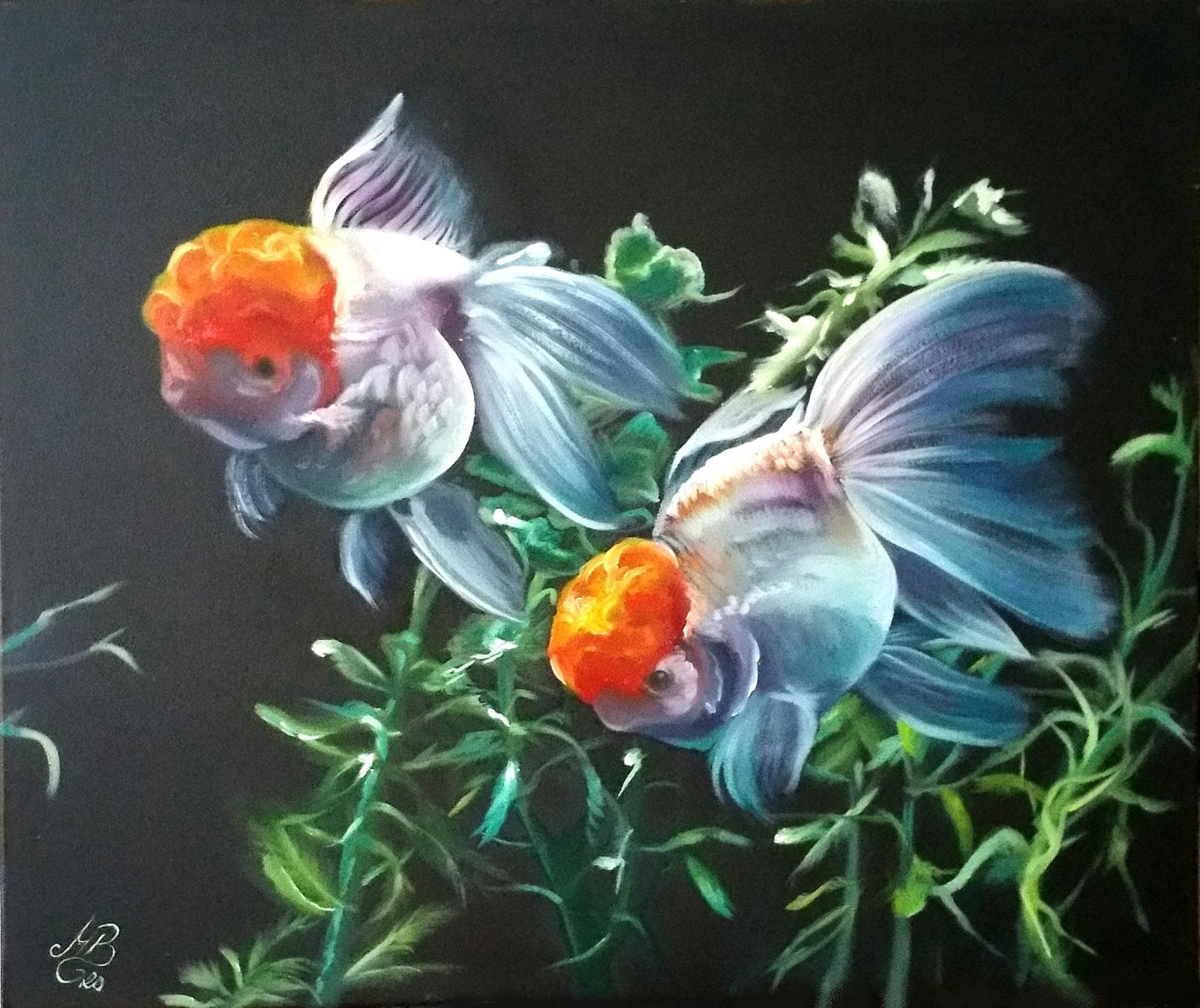 Obraz Závojnatky - olej 50x60 cm