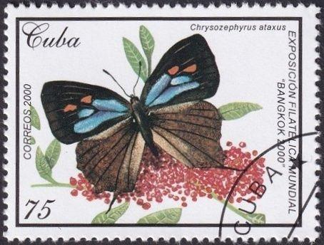Kuba 2000 Chrysozephyrus ataxus Mi# 4263 1121
