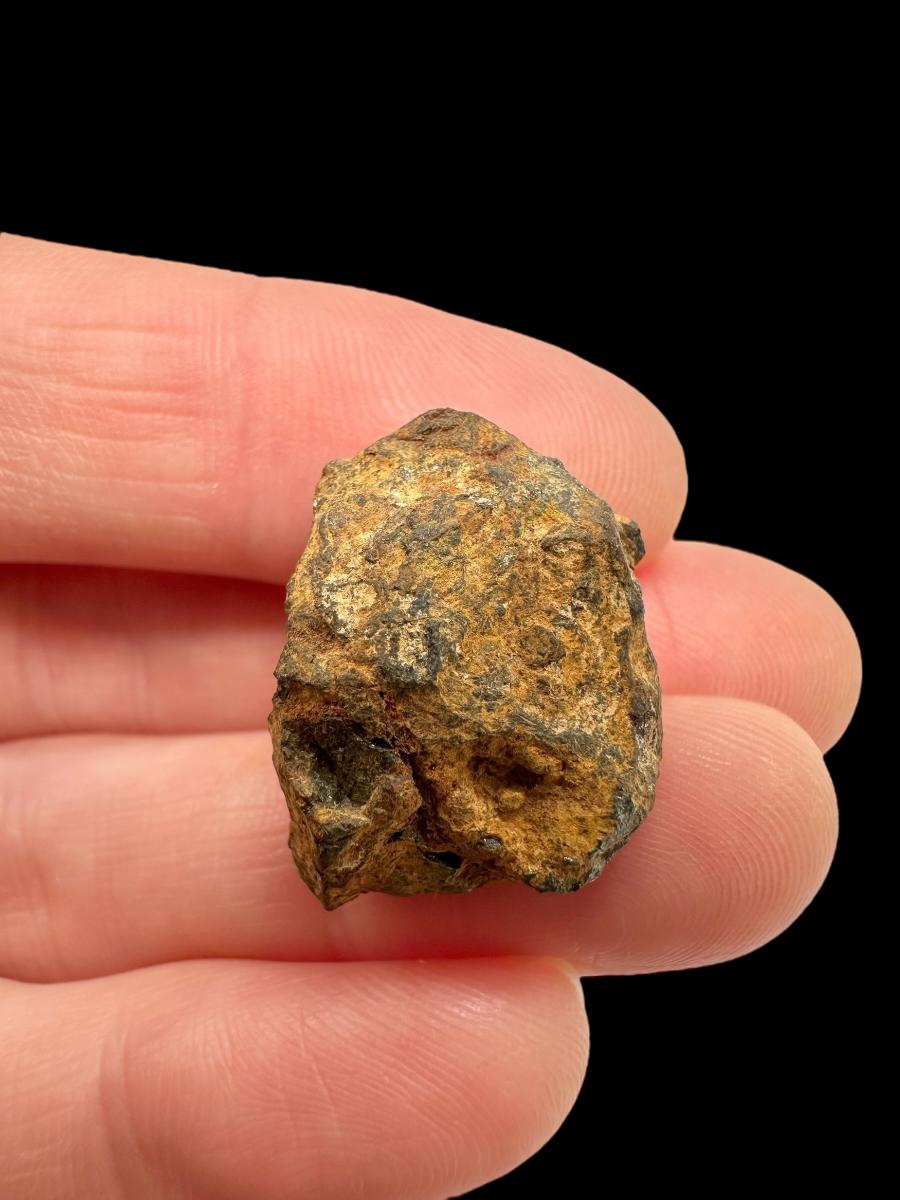 Meteorit Pallasit Sericho 9,7g / surový – Keňa