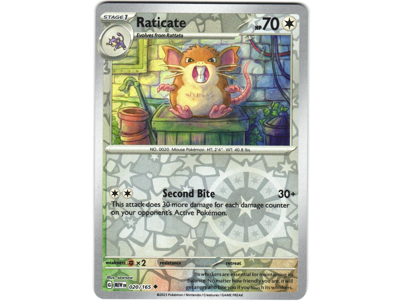 Raticate (MEW 020) - RH - 151 - Pokémon