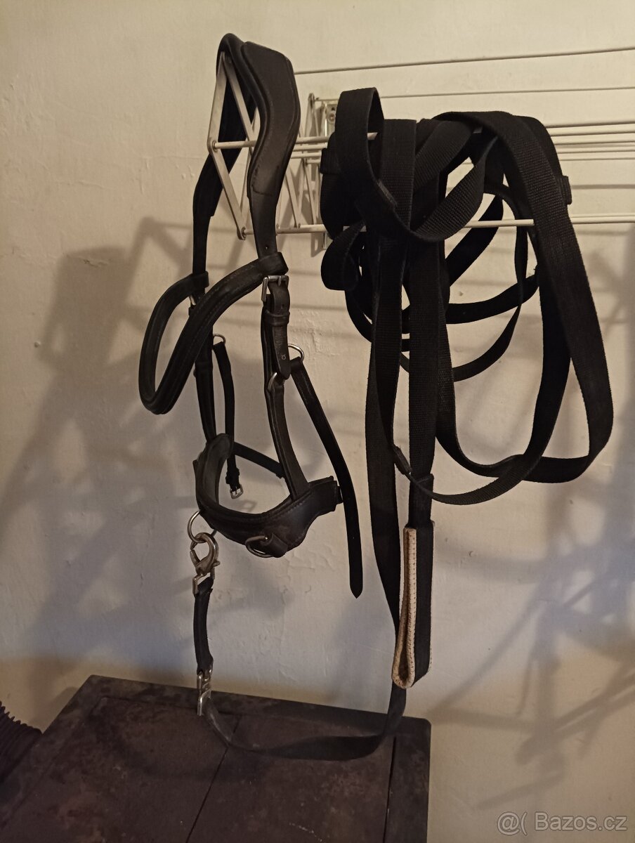 Více věcí pro koně