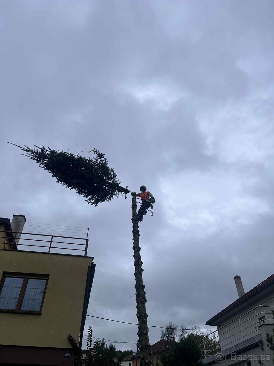 Kácení stromů, zemní práce, zahrady