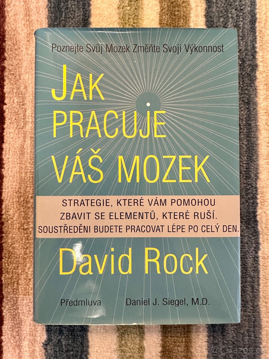 Jak pracuje váš mozek – David Rock (velmi dobrý stav)