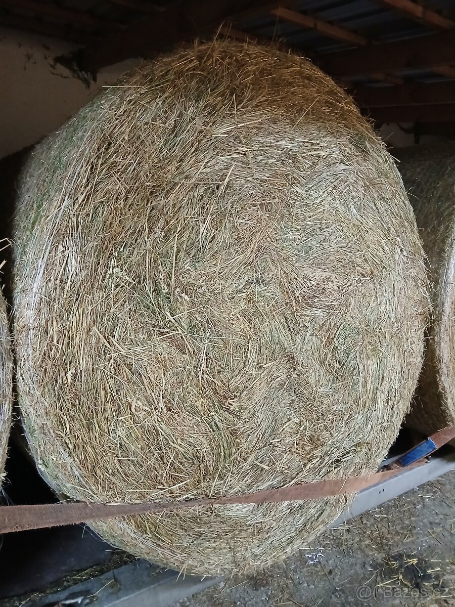 Letošní seno z haly z Vysočiny