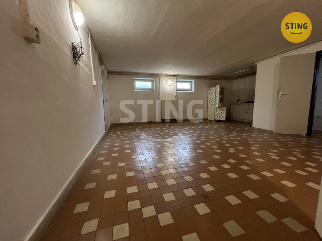 Pronájem nebytových prostor, 133661