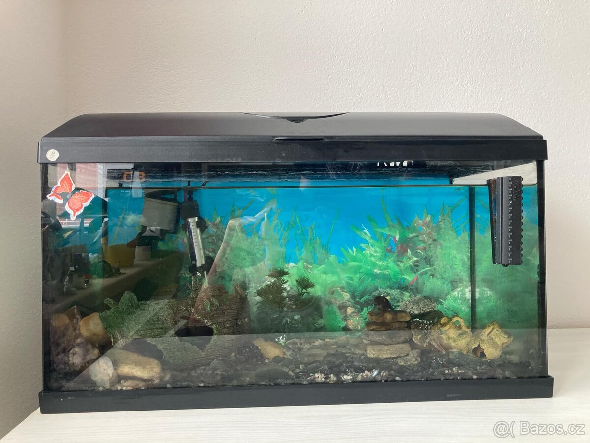 Akvárium 60x30x30