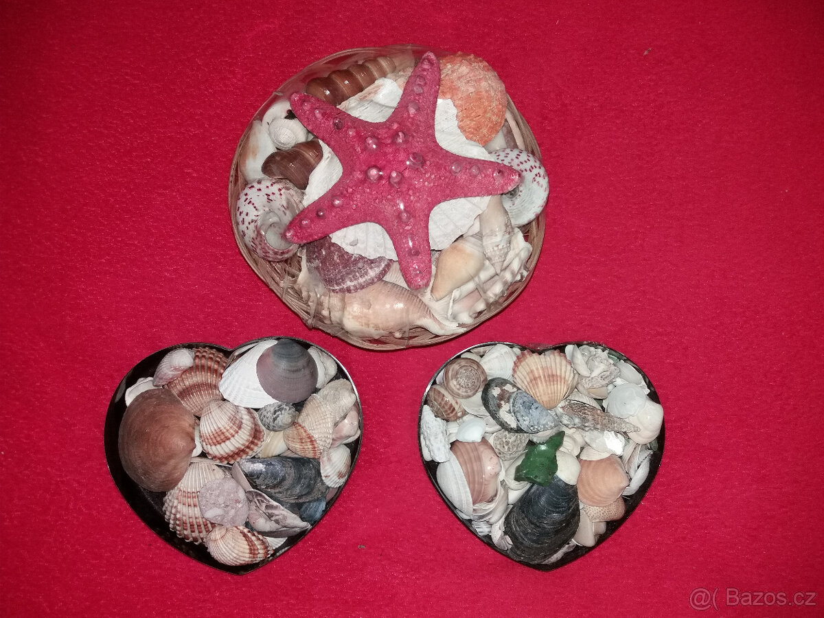 Mušle, cestovní šachy, odznaky a karty Canasta