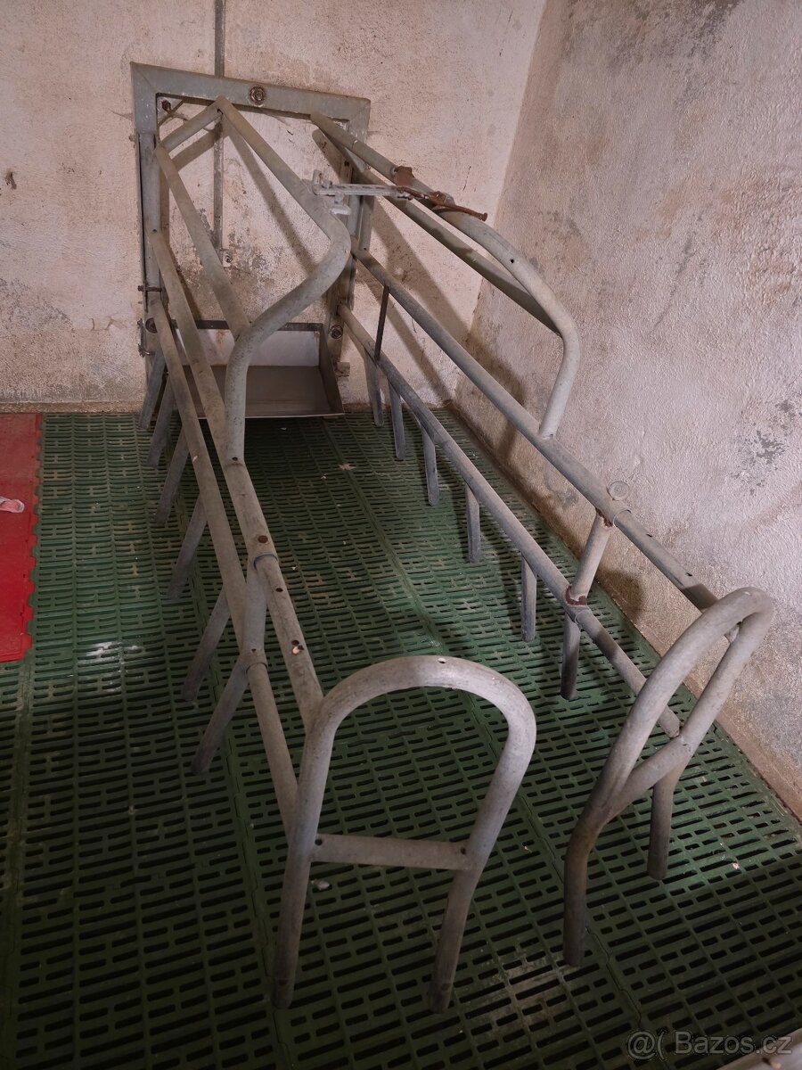 Porodní klec na prasnice