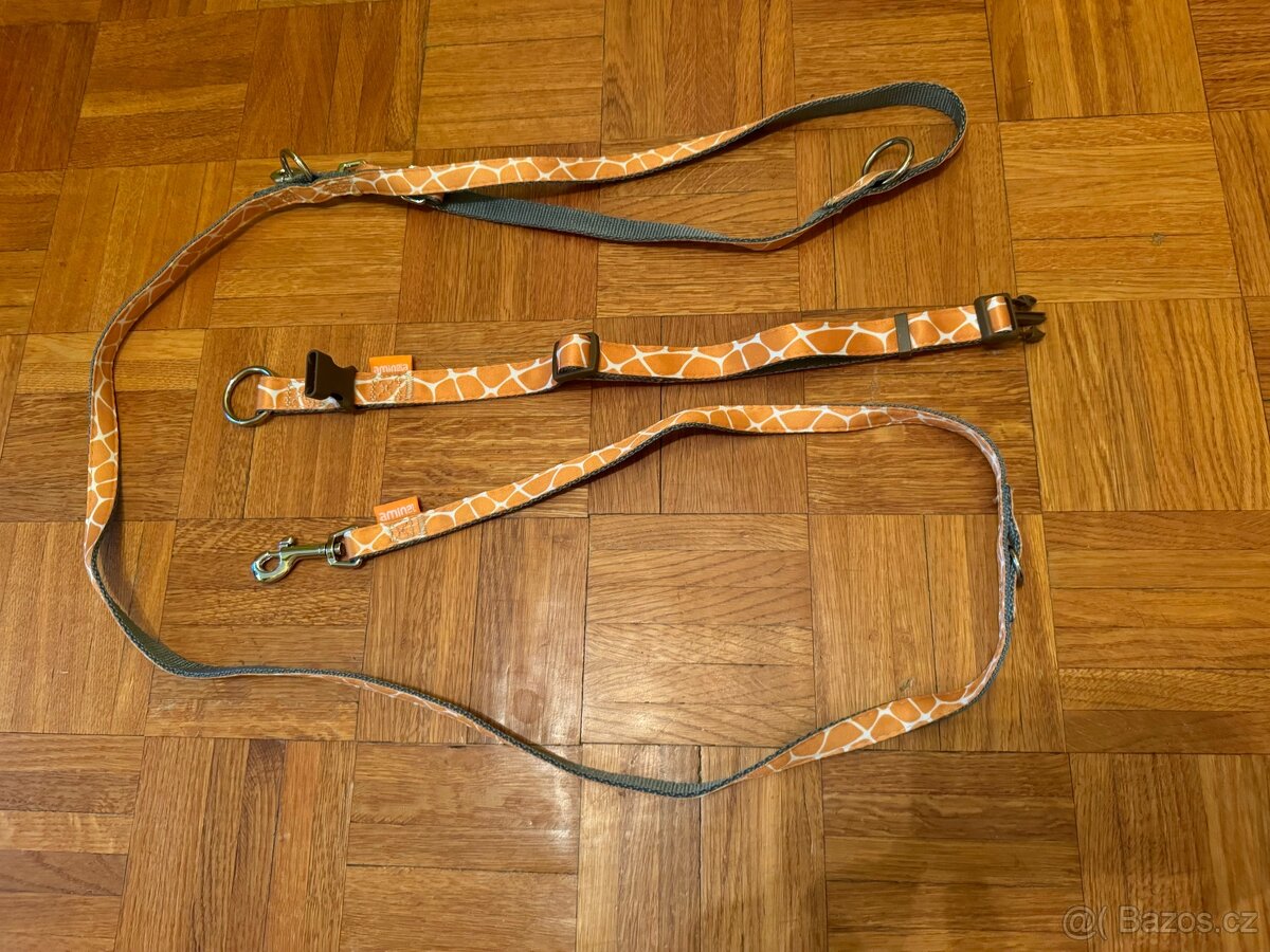 Obojek+ vodítko Aminela