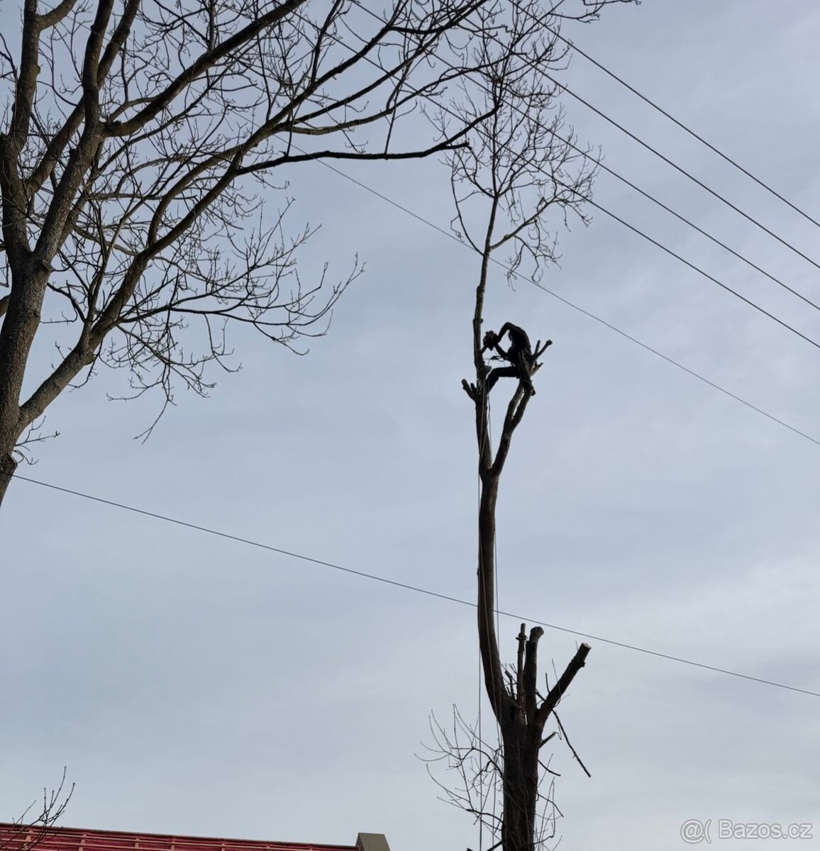 Rizikové kácení stromů | Mytí střech a fasád | Čištění dlažb
