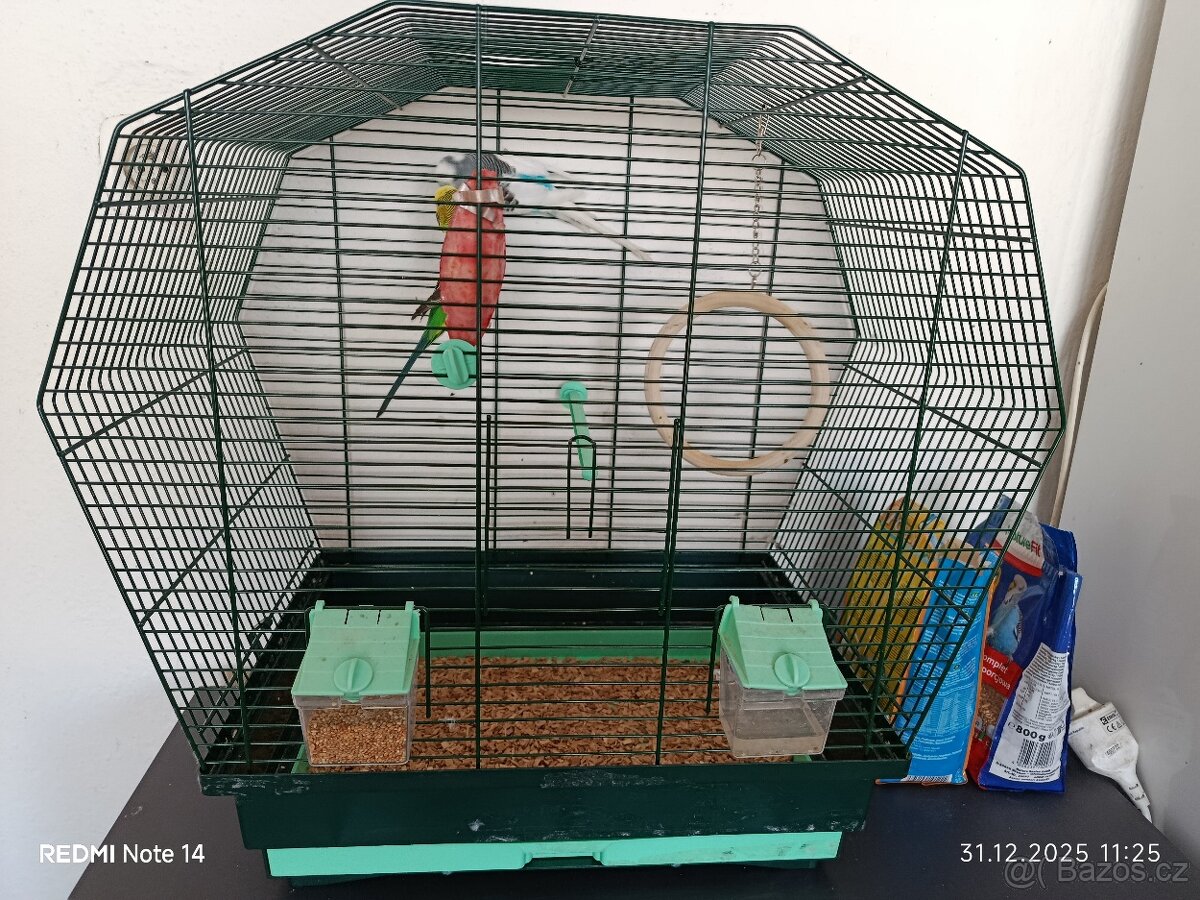 Andulky s klecí