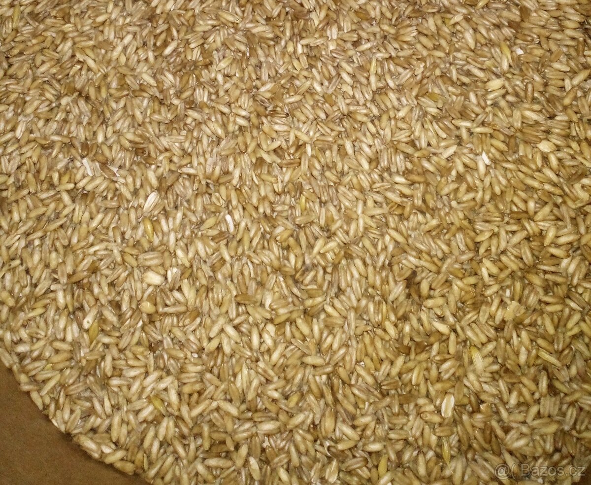 Lesknici, oves nahý, proso žluté a zelené , hrách+šrot