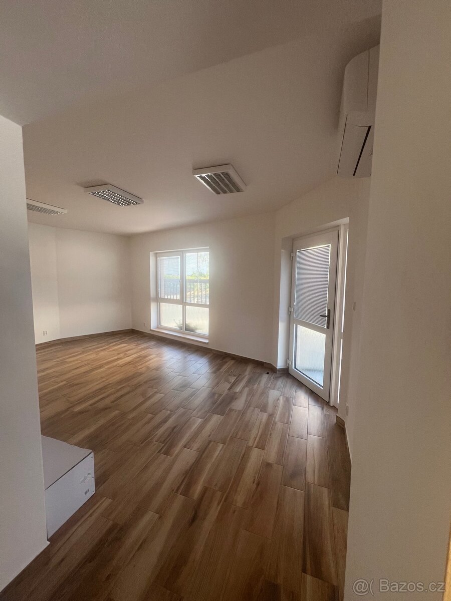 Pronájem bytových a nebytových prostor