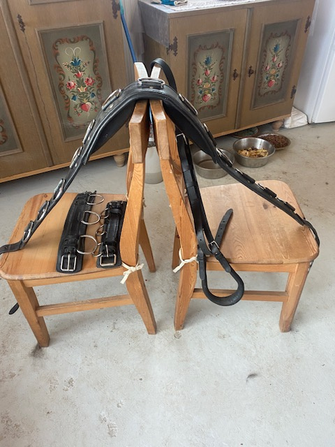 Lonžovací obřišník - postroj