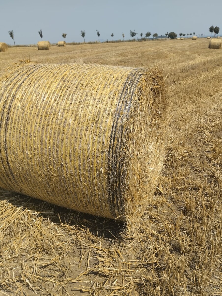 Sláma - velké kulaté balíky