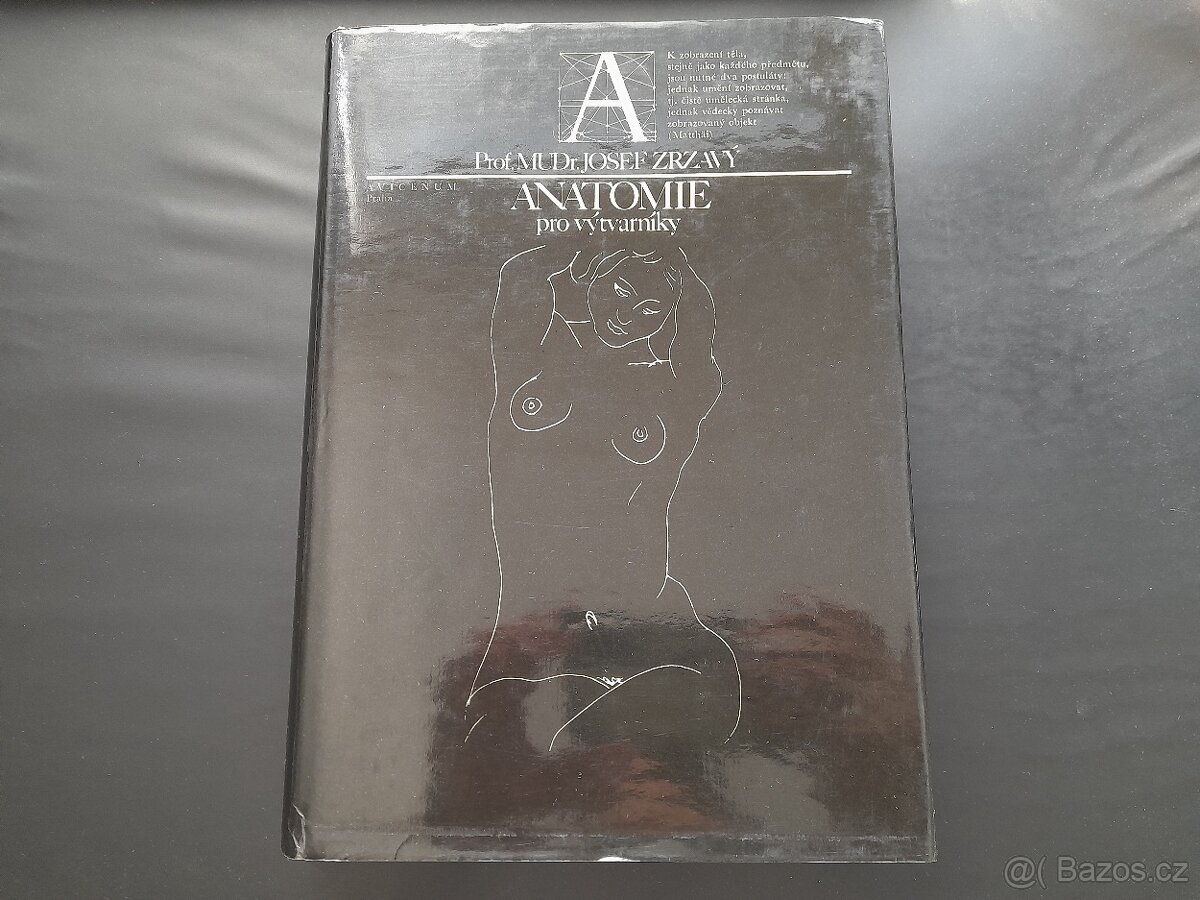 Anatomie pro výtvarníky