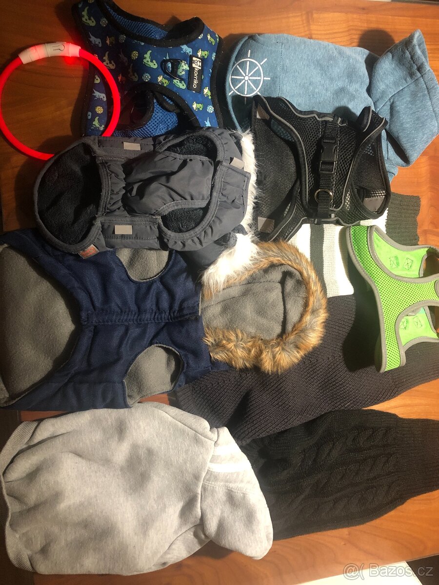 Buldoček štěně - zimní výbava