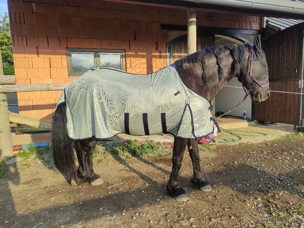 Síťová deka QHP s krkem a maskou pro barokní koně