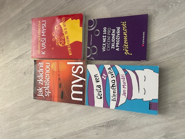 Cesta ze šíleného světa Menděl