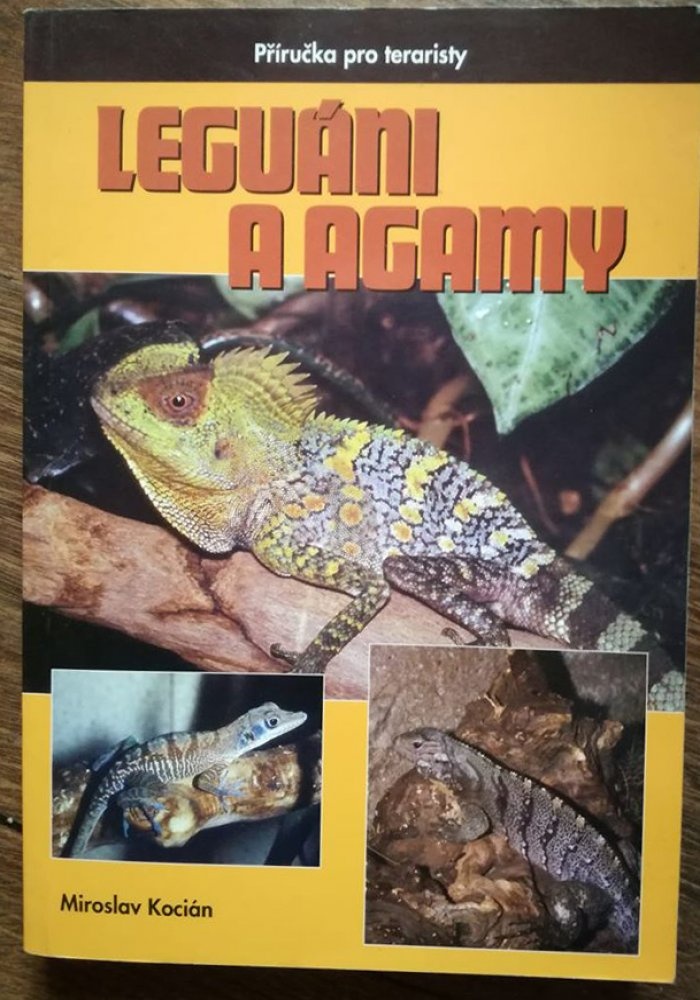 Leguáni a agamy,chameleon jemenský, ještěři