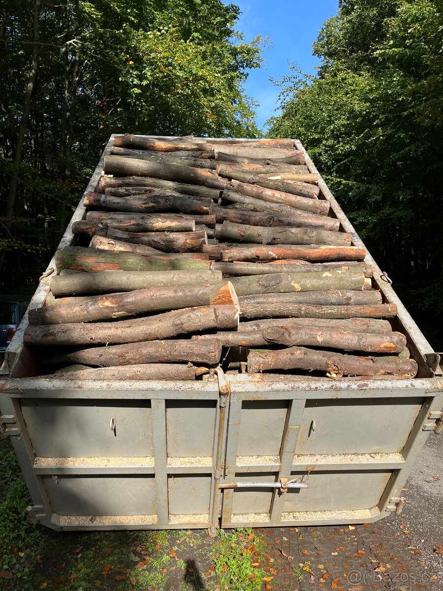 Palivové dřevo i suché