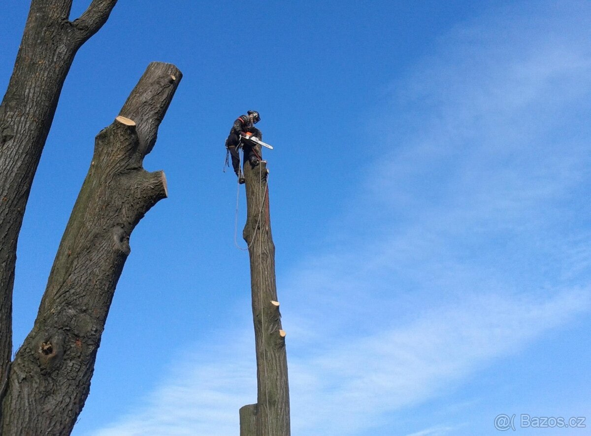 Kácení a ořezy stromů Vsetínsko
