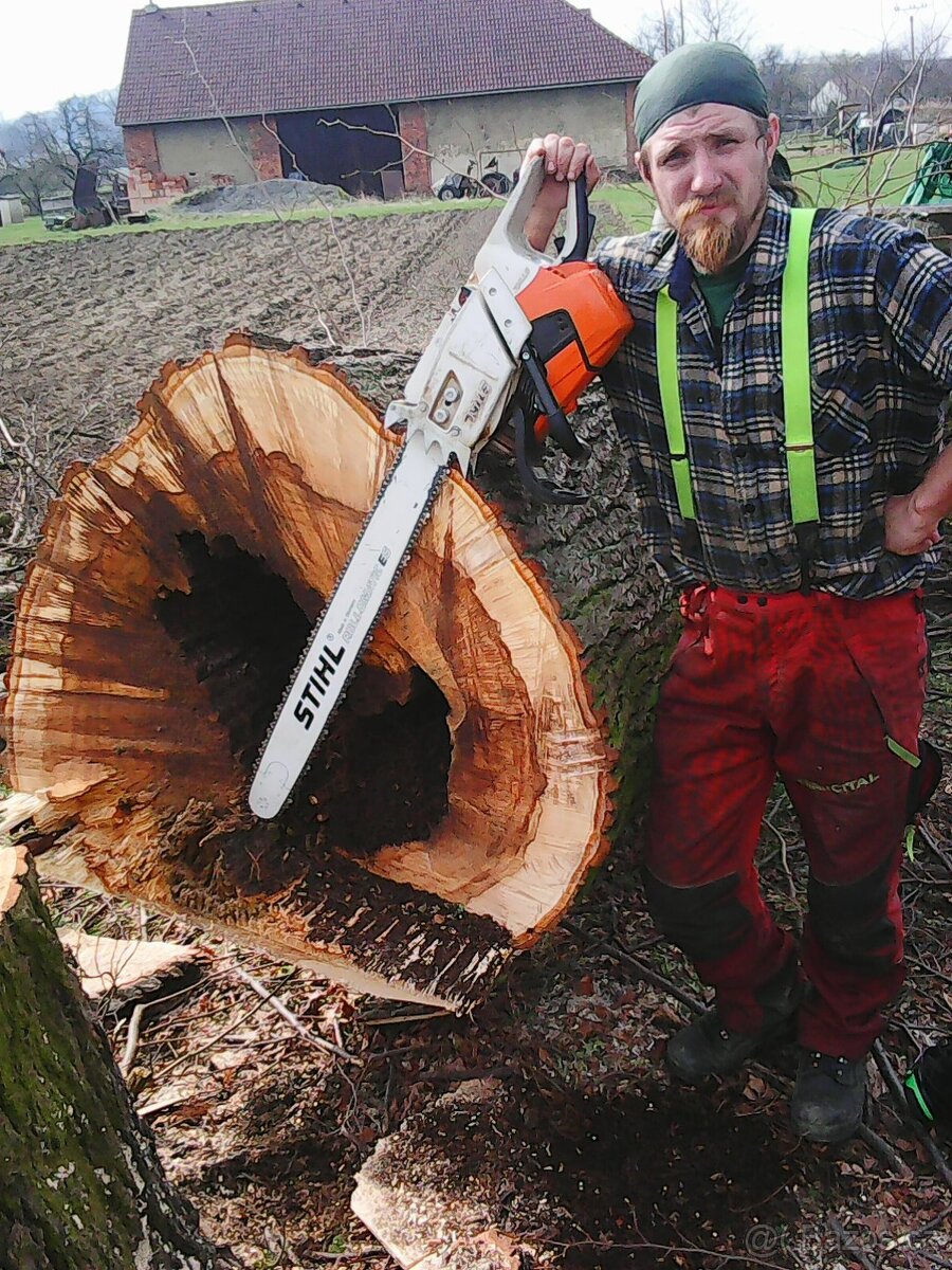 Kácení a ořezy stromů Zlínsko