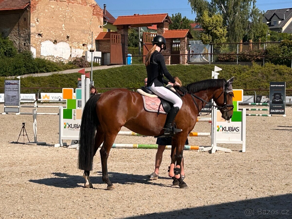 Charakterní sportovní klisna pony B