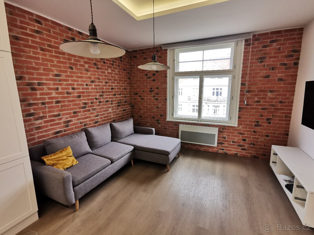 Malířské a natěračské práce + renovace eurooken