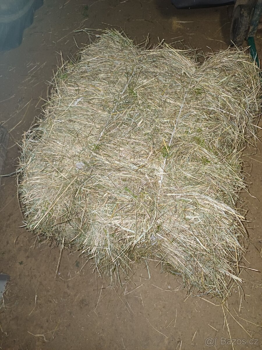 Malé balíky sena PRODÁNO
