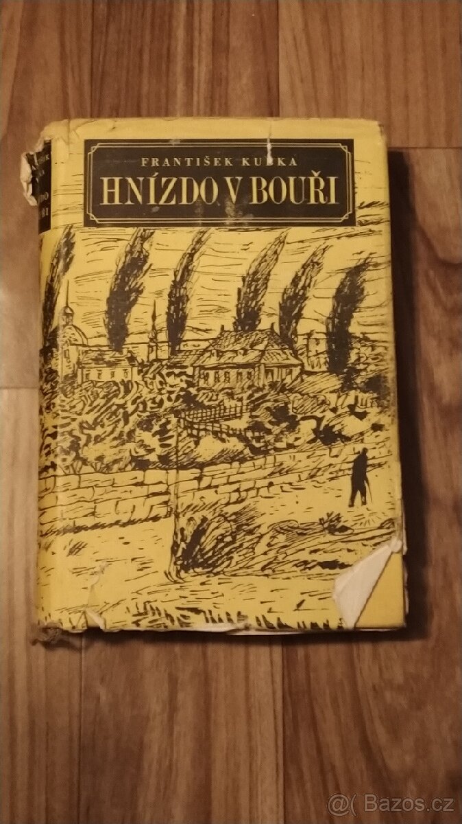 Hnízdo v bouři - František Kubka