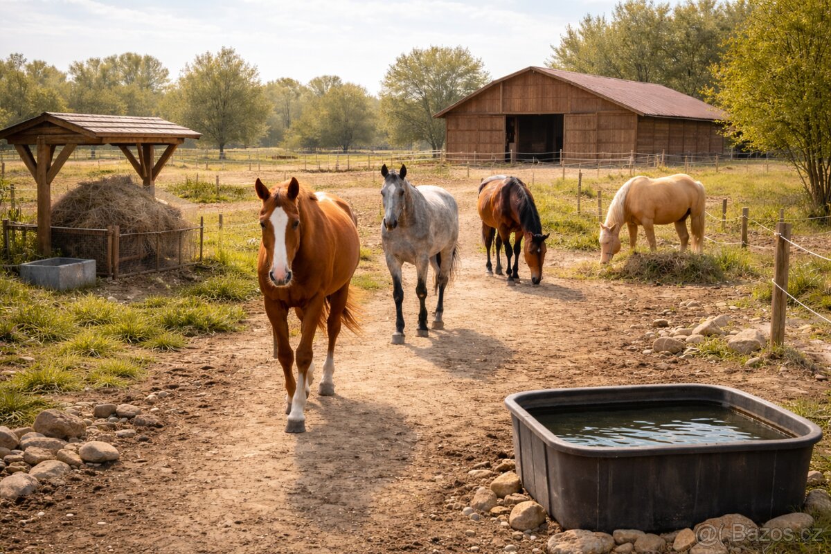 Nabízím prostor pro život koní - ustájení - trek /Kladeruby