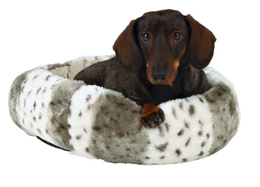 Pelech - odpočívadlo pre zvieratá