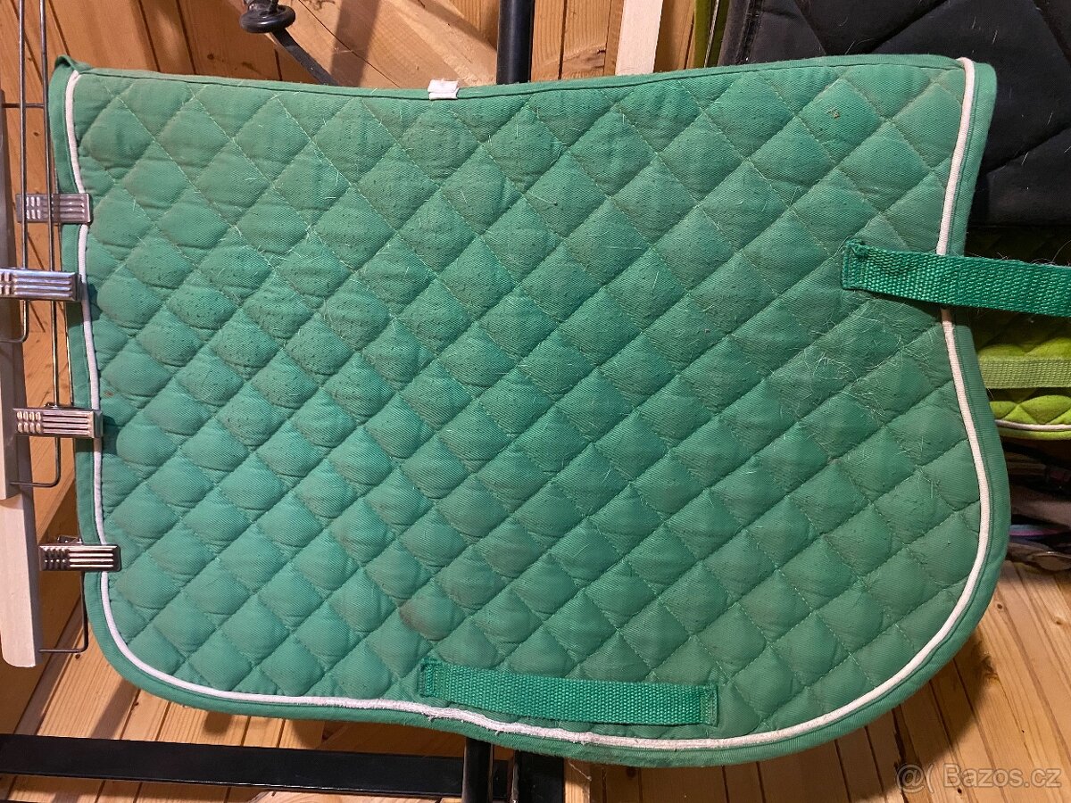 Podsedlovka shetty/pony