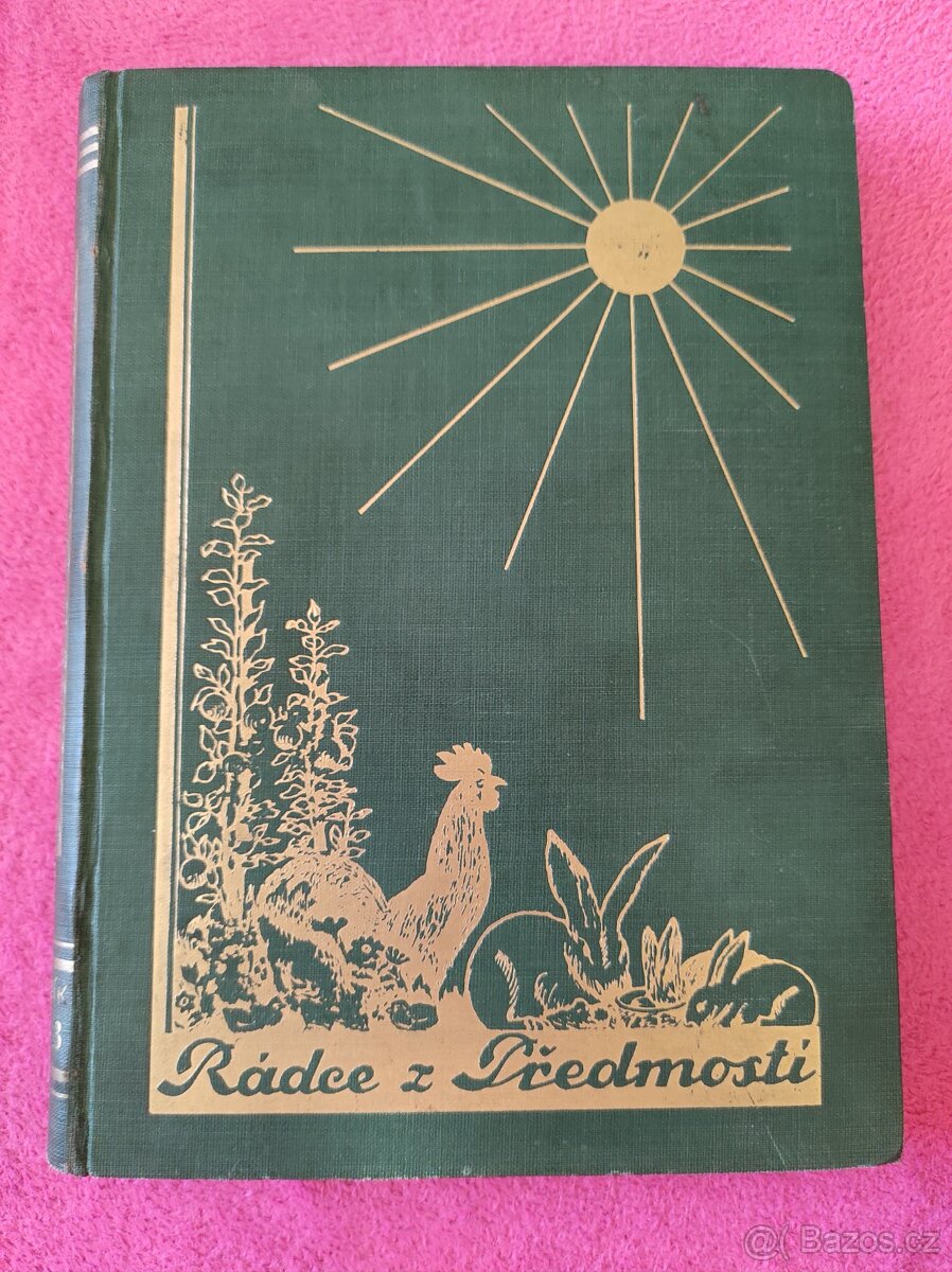 Rádce z Předmostí 1933