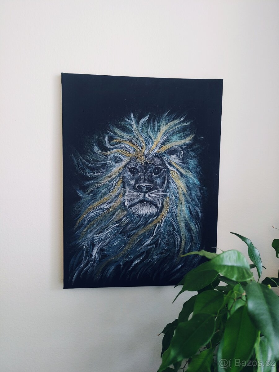 Obraz 30x40 lev ve vetru