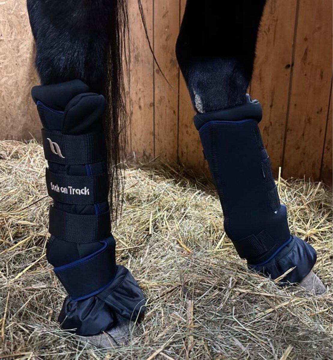 Termokamaše Back on Track Royal Deluxe, vel. L