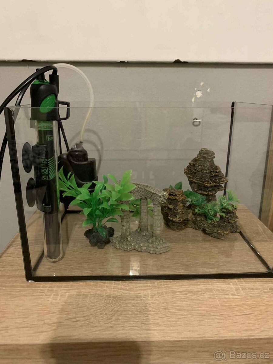 Vybavené akvárium