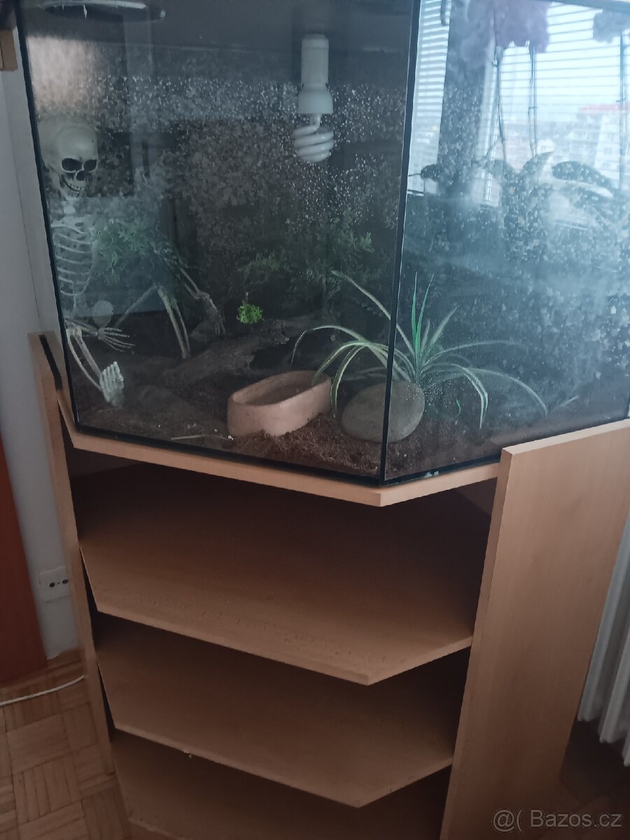 Terarium
