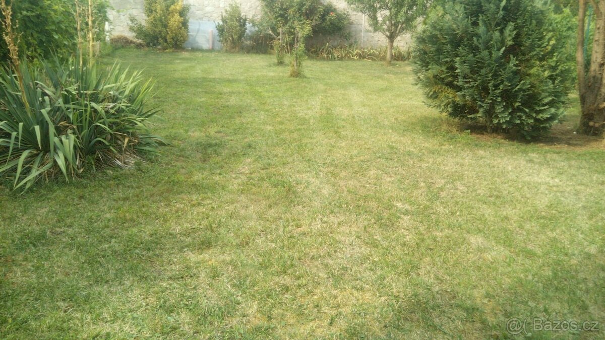 HODINOVÝ MANŽEL A VYKLÍZENÍ