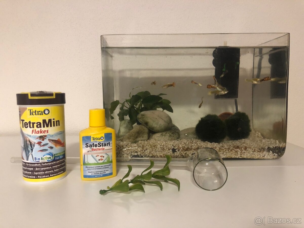 Kompletní akvárium včetně rybiček