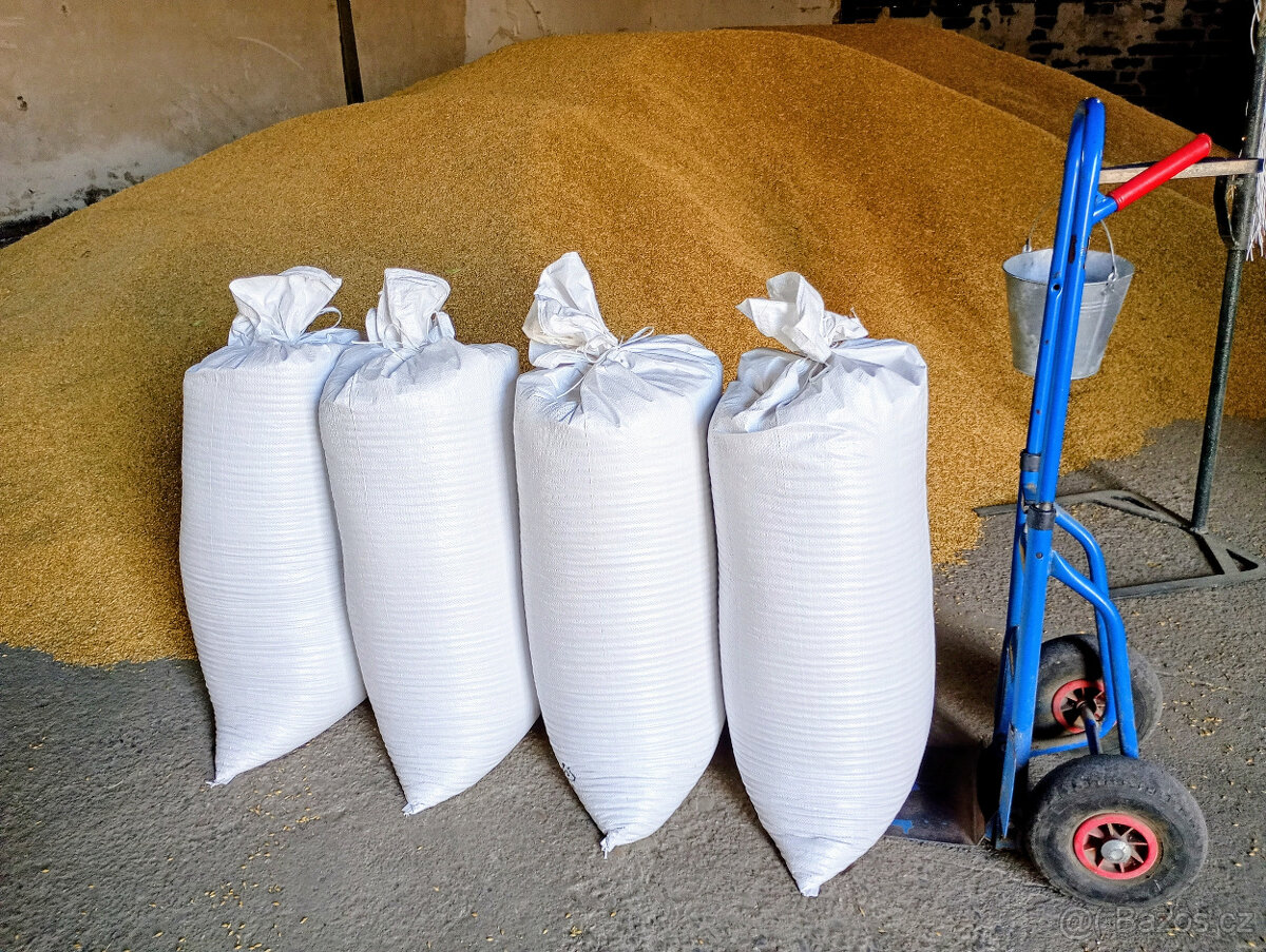 Prodej ječmene - 100kg / 500,-Kč - Chomutovsko