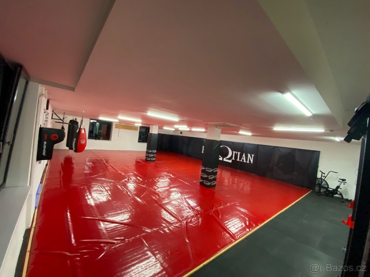 Pronájem vybaveného gymu